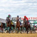 2025 Individual Sign Stakes at a glance