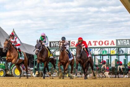 2025 Individual Sign Stakes at a glance