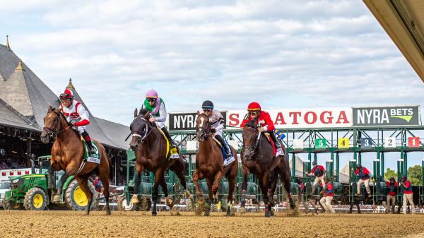 2025 Individual Sign Stakes at a glance