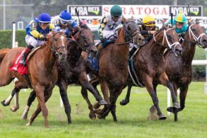 A pair of distant bridges and euro invaders in Sword Dancer Stakes