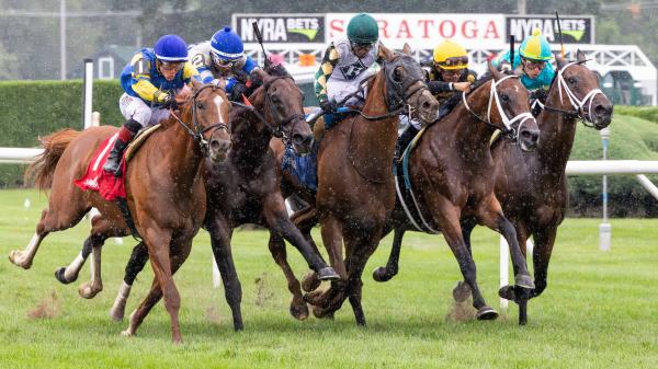 A pair of distant bridges and euro invaders in Sword Dancer Stakes