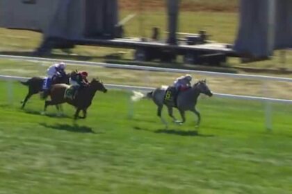 AG Bullets highlight early stakes winners