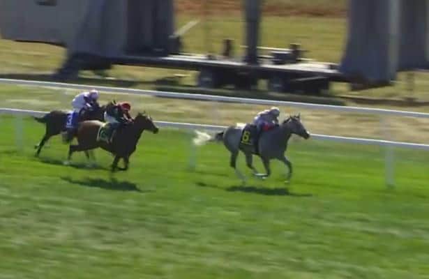 AG Bullets highlight early stakes winners