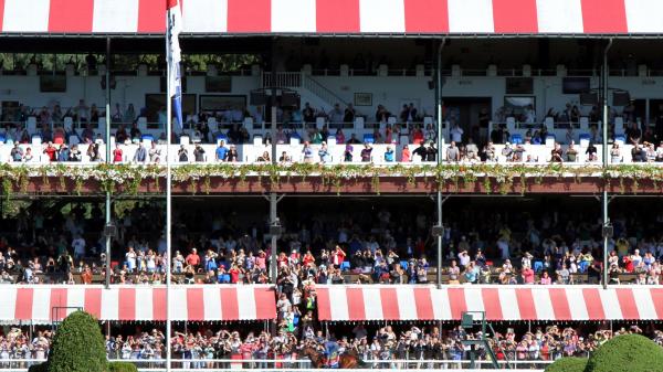 American Pharaoh Saratoga Gallop that may never match