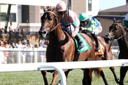 Bear River wins Breeders' Cup Bertz in Kentucky's Grass Sprint