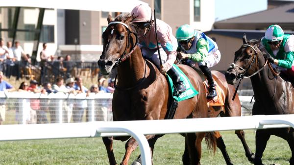 Bear River wins Breeders' Cup Bertz in Kentucky's Grass Sprint
