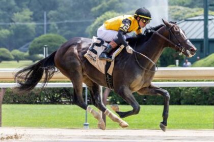 Bet Exactas and Trifectas on hopeful interests for 2025