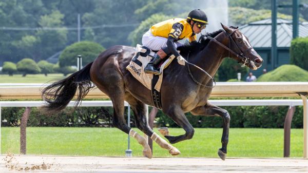 Bet Exactas and Trifectas on hopeful interests for 2025