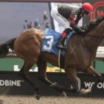 Bet double-digit long shots on the 2025 Kings Plate Stakes