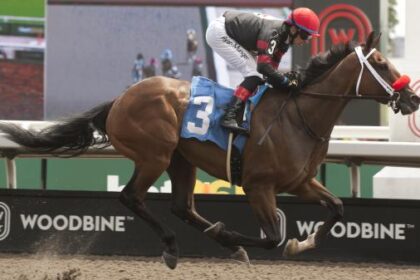 Bet double-digit long shots on the 2025 Kings Plate Stakes