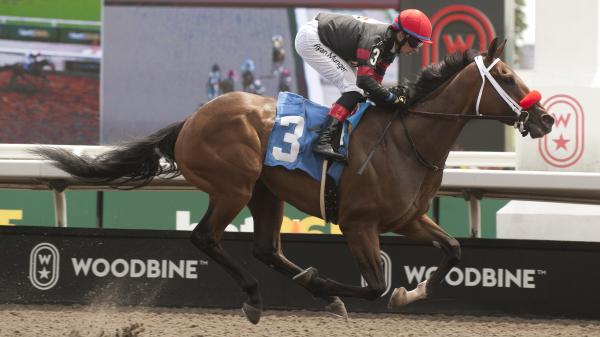 Bet double-digit long shots on the 2025 Kings Plate Stakes