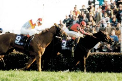 Breeders' Cup Fantastic Finish: Bible Percentage Comeback