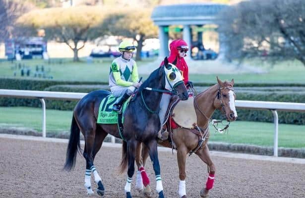 Breton Baytown, which stopped in the WV Derby, is recovering