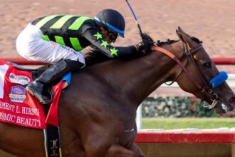 Buy or sell on the road to the Breeders' Cup: Clement L. Hirsch Winner Earthquake Beauty