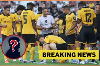 The Wolf provided the opportunity to sign the £15 million championship star
