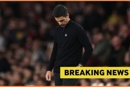 Mikel Arteta during Arsenal