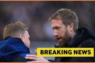 Newcastle was able to sign West Ham's record breaker