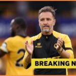 Wolf manager Vittle Pereira admits he always dreamed of signing the 27-year-old forward
