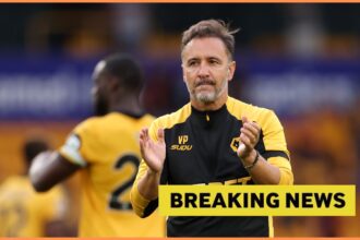 Wolf manager Vittle Pereira admits he always dreamed of signing the 27-year-old forward