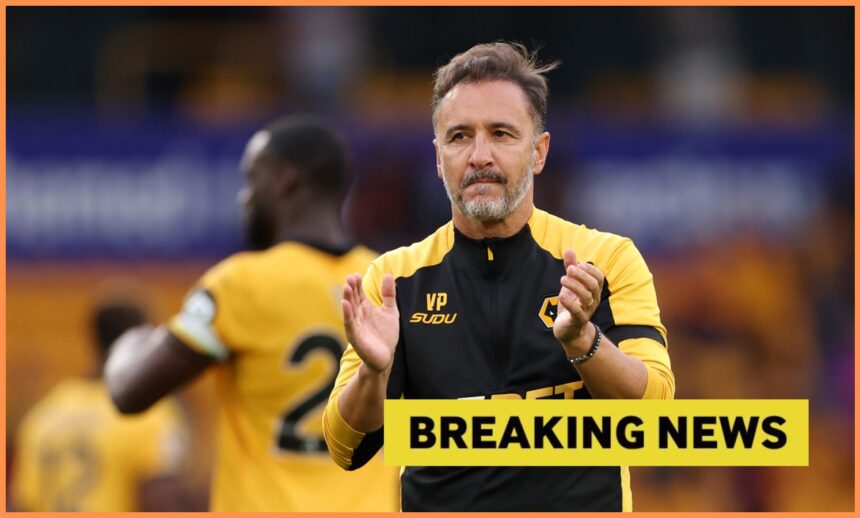 Wolf manager Vittle Pereira admits he always dreamed of signing the 27-year-old forward