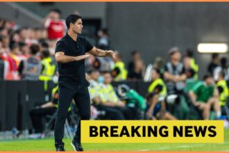 "There might be one more": Former Arsenal star gets excited about the latest forwarding comments to fans