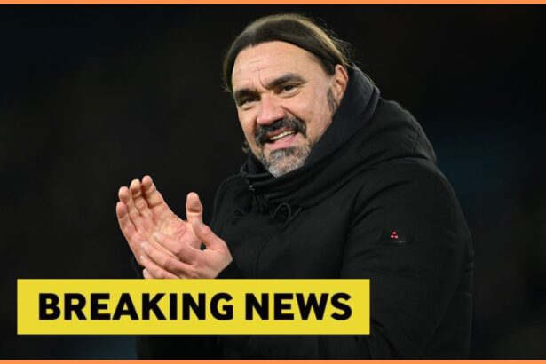 Leeds United manager Daniel Farke plus yellow