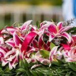 Churchill Downs will boost Kentucky Oaks promotion
