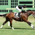 Doncho sets world record towards 5 1/2 furlong on grass