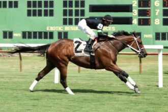 Doncho sets world record towards 5 1/2 furlong on grass