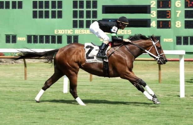 Doncho sets world record towards 5 1/2 furlong on grass