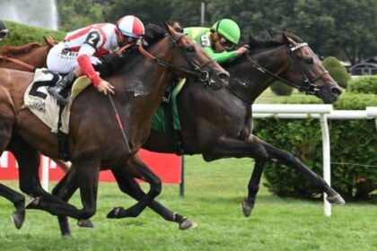 Donegal's momentum bounces back and beats Bernard Barch.