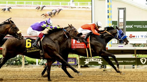 Dr. Benkman was arrested at Pat O'Brien in Del Mar to secure a Breeders' Cup Dirt Mile Bertz