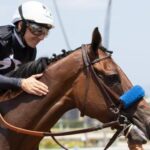 "Dreams Come True": Myracehorse shareholders are engrossed in the beauty of earthquakes