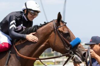 "Dreams Come True": Myracehorse shareholders are engrossed in the beauty of earthquakes