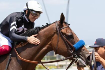 "Dreams Come True": Myracehorse shareholders are engrossed in the beauty of earthquakes