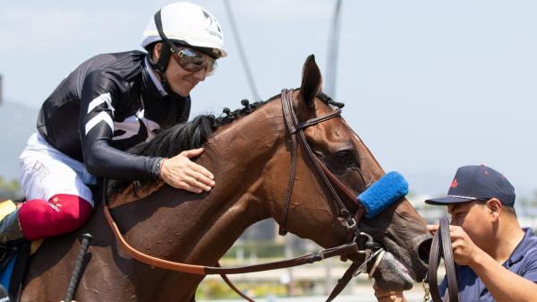 "Dreams Come True": Myracehorse shareholders are engrossed in the beauty of earthquakes