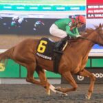 Elysian Field leads four sea route entries for Casse