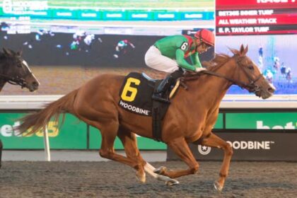 Elysian Field leads four sea route entries for Casse