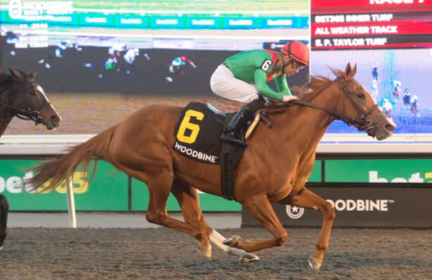 Elysian Field leads four sea route entries for Casse
