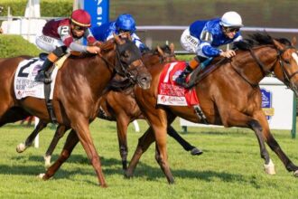 Euroin Vader El Cordobes wins sword dancer and spots at Breeders' Cup Turf