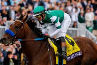 Flightline's first fleet: Sensational Horse of the Year Year