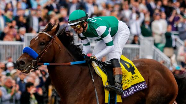 Flightline's first fleet: Sensational Horse of the Year Year
