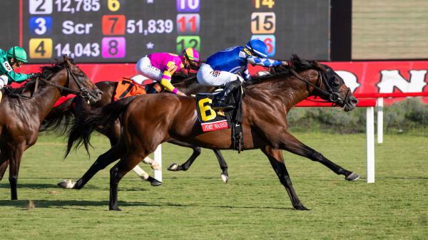 Fort Washington wins Arlington Million, and Charlene's dream is Beverly D.