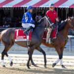 Immersive leads 10 Grader Stakes winners