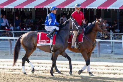 Immersive leads 10 Grader Stakes winners