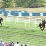 Lagynos may come back for more after Tapit's victory