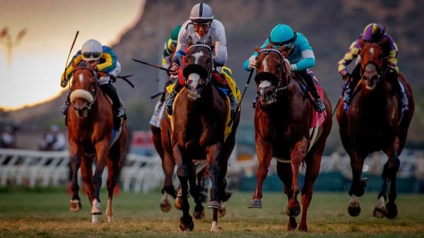 Live long shot of Andrew Champagne for Pacific Classic Day at Del Mar