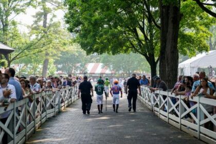Live long shots of champagne and value play for Travers stakes cards