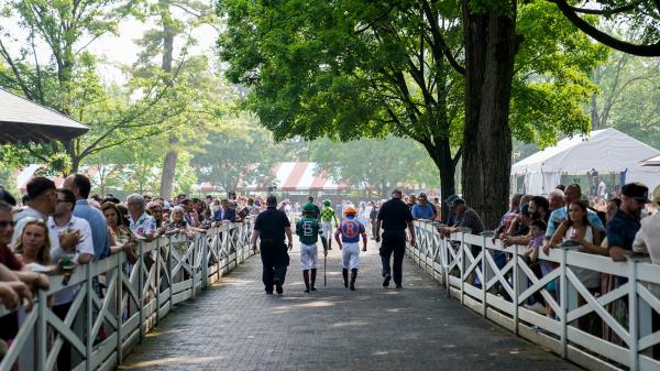Live long shots of champagne and value play for Travers stakes cards