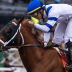 Locked Lead 11 Grade Stakes Winner